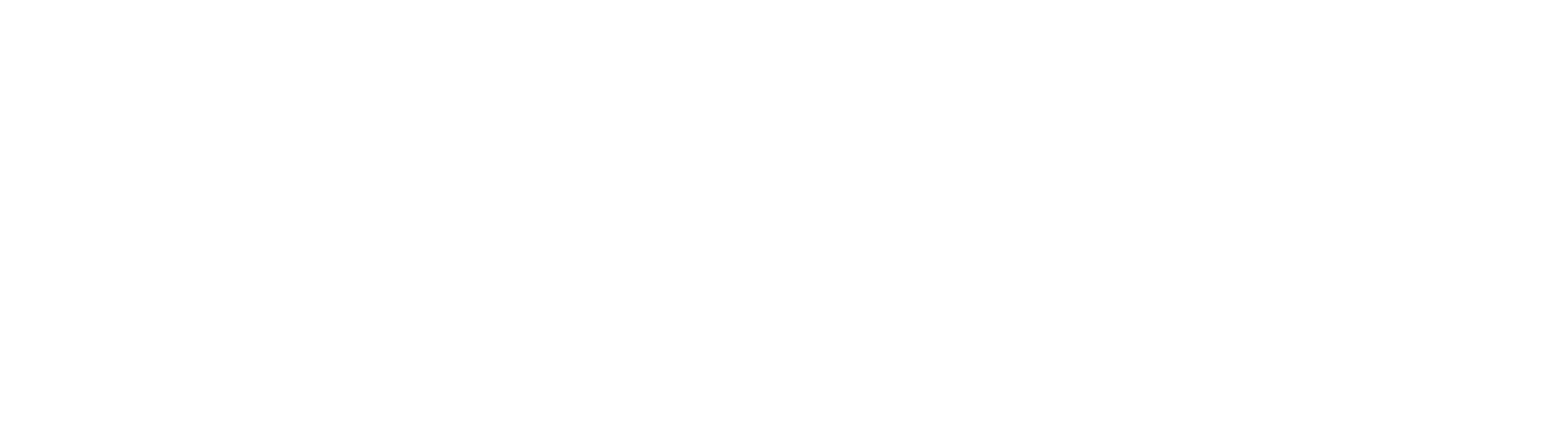 Data Bridge Logo